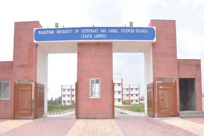 Rajasthan Higher Education