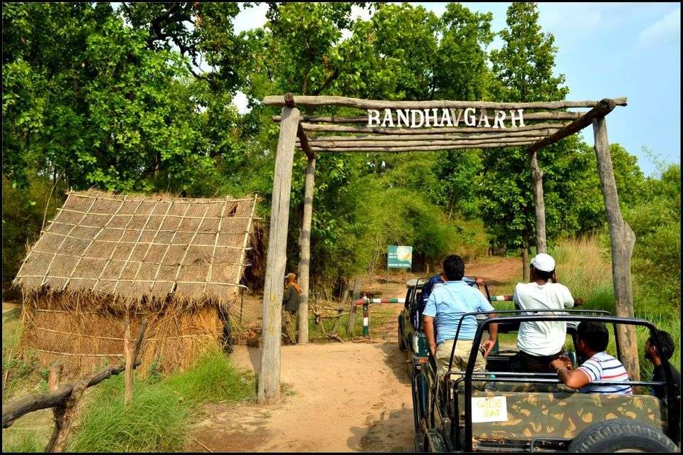bandhavgarh national park booking last date