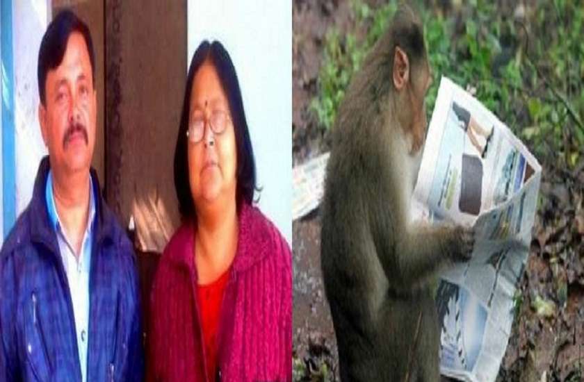 muslim women named her property to a monkey