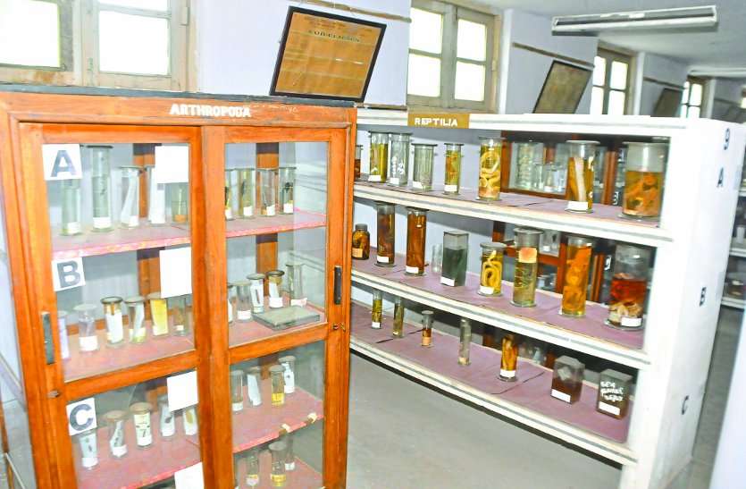 gwalior museum 