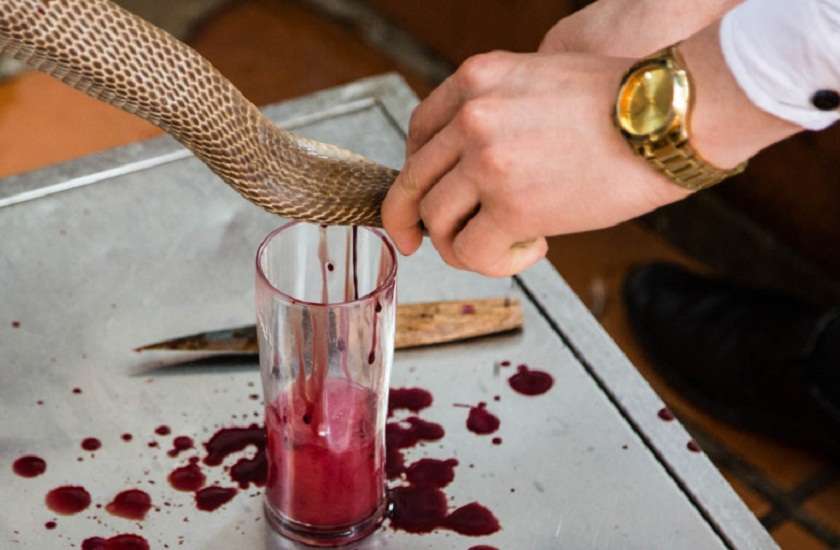 dishes and drinks made of snakes in vietnam