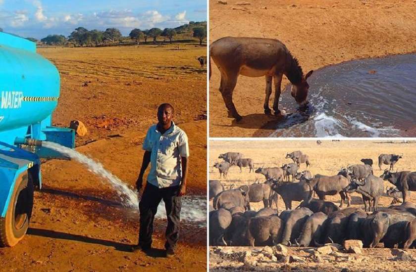 man drives hours every day in drought to bring water to wild animals