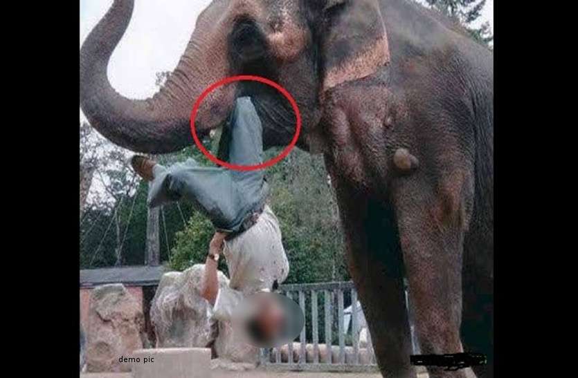 Selfi with elephants 