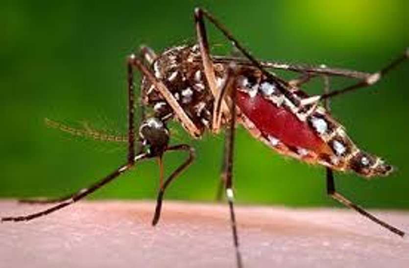 Gran consumo de sangre por fiebre y dengue