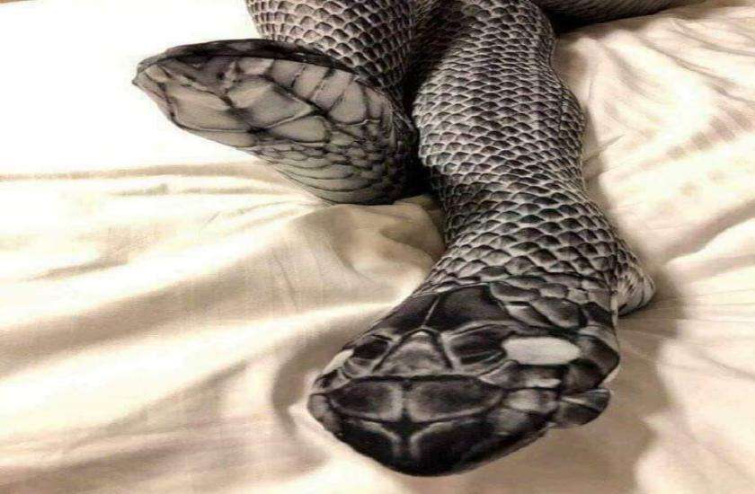  pair of snake print stockings