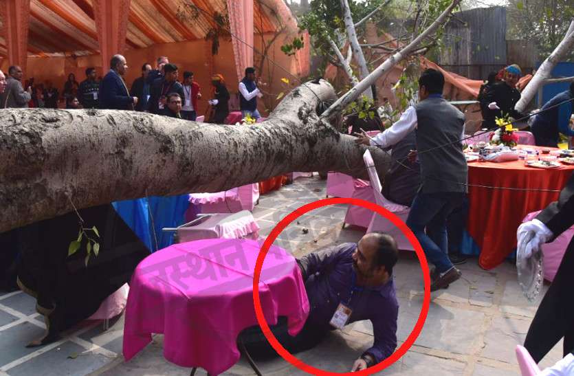 Jaipur Literature Festival 2019: Accident as Tree fall over people