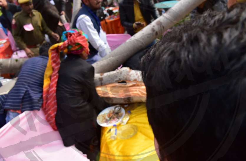 Jaipur Literature Festival 2019: Accident as Tree fall over people
