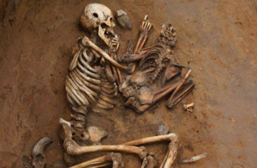 Skeletons found in Hadappa 