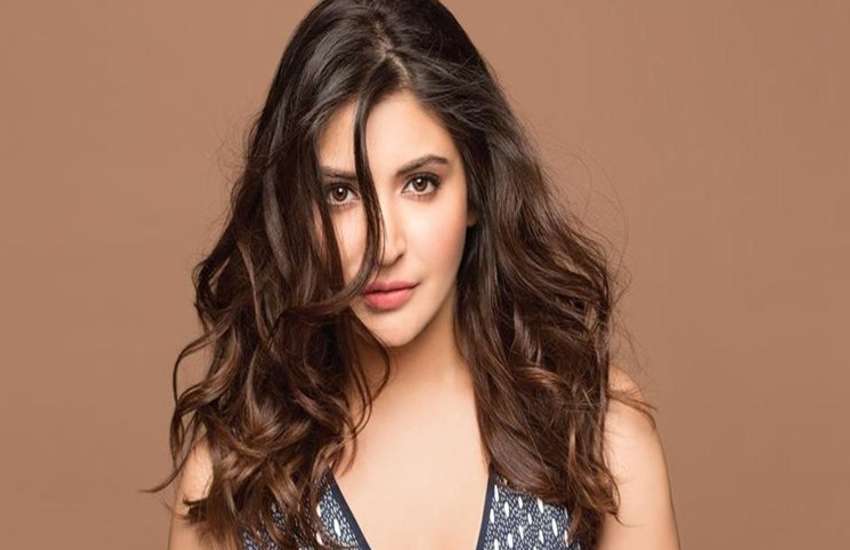 Anushka sharma to work on webseries The Story of My Assassins