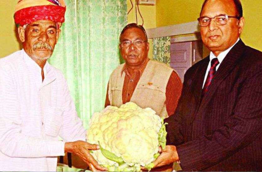 राजस्थान के सीकर जिले के अजीतगढ़ निवासी कृषि वैज्ञानिक जगदीश पारीक को सोमवार को दिल्ली के राष्ट्रपति भवन में राष्ट्रपति रामनाथ कोविंद पद्मश्री पुरस्कार से सम्मानित करेंगे।