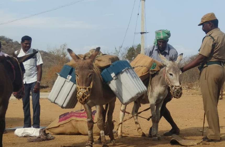 Election materials carrying donkeys for 40 years