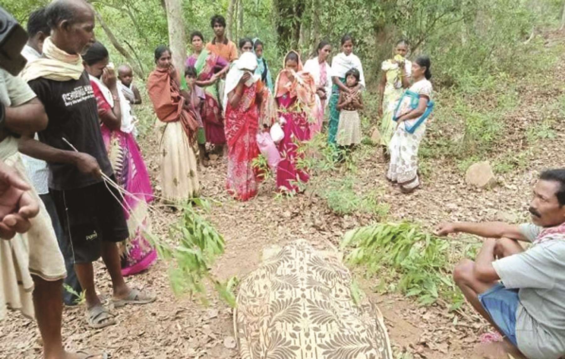Wild Elephant killed two villagers in Jashpur Chhattisgarh