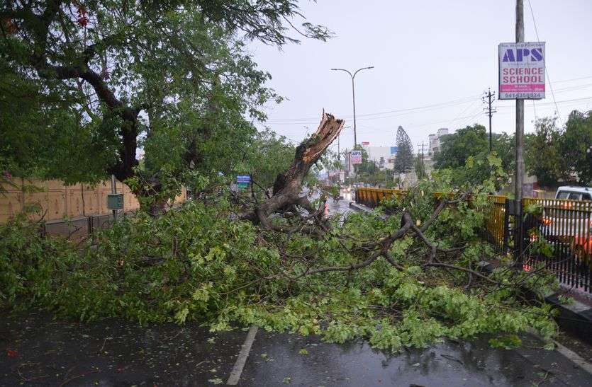 Thunderstorm: पेड़-खंभे एक झटके में धरायाशी, 28 से अधिक गांव-ढाणियों में सप्लाई बाधित, तस्वीरों में देखे तबाही का खौफनाक मंजर