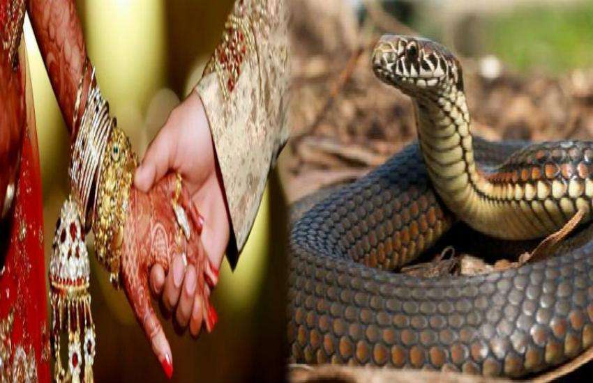 marriage with snake 