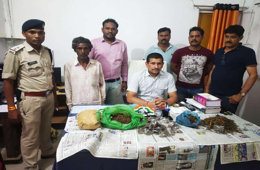10 marijuana and drug sellers arrested by bilaspur police