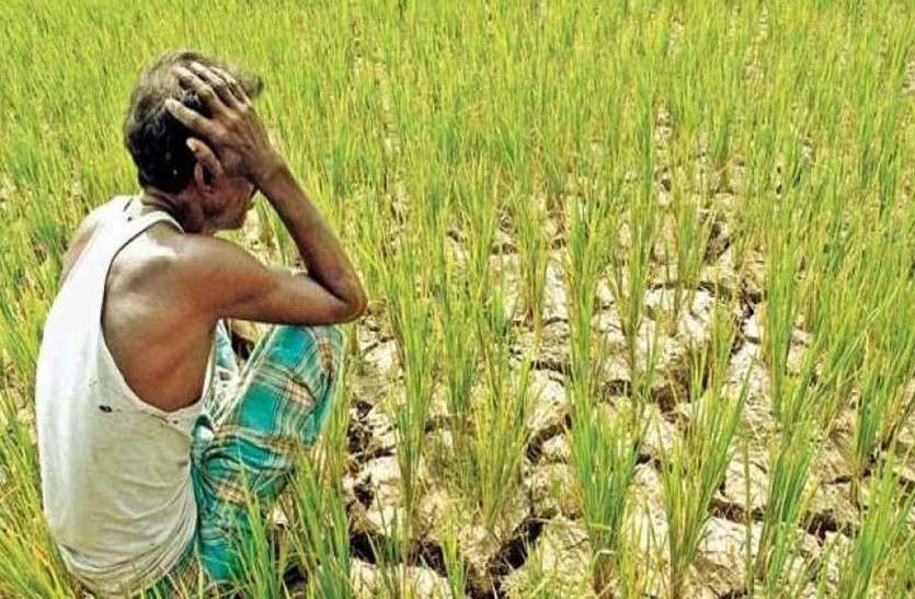 Rajasthan Farm Loan Waiver Scam
