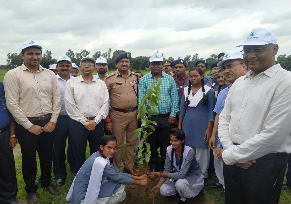 Planting of 37 lakh plants from city to village