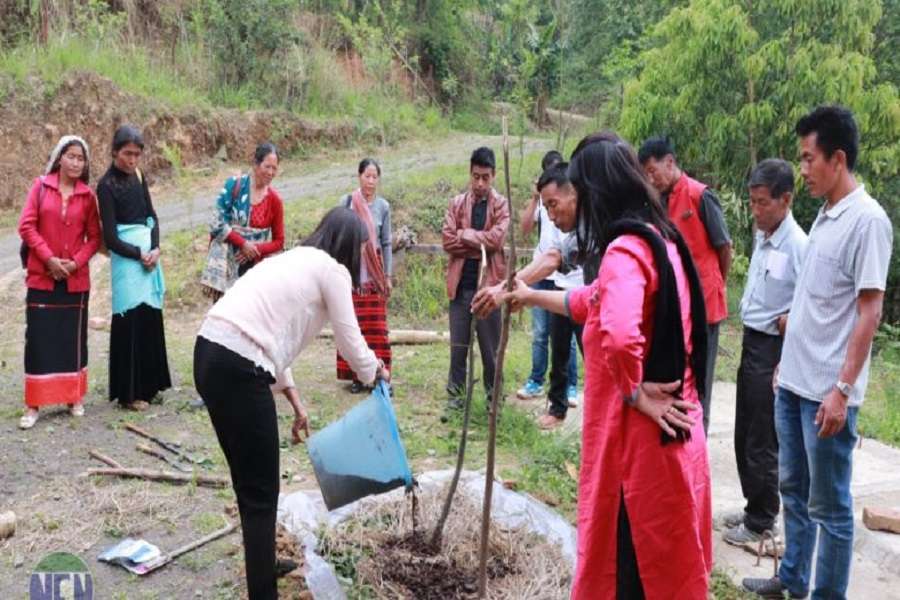 Weaving a Better Future for Hundreds of Naga Women