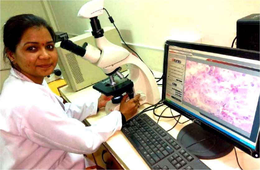 white soyabean: JU researcher deepa research on liver cancer