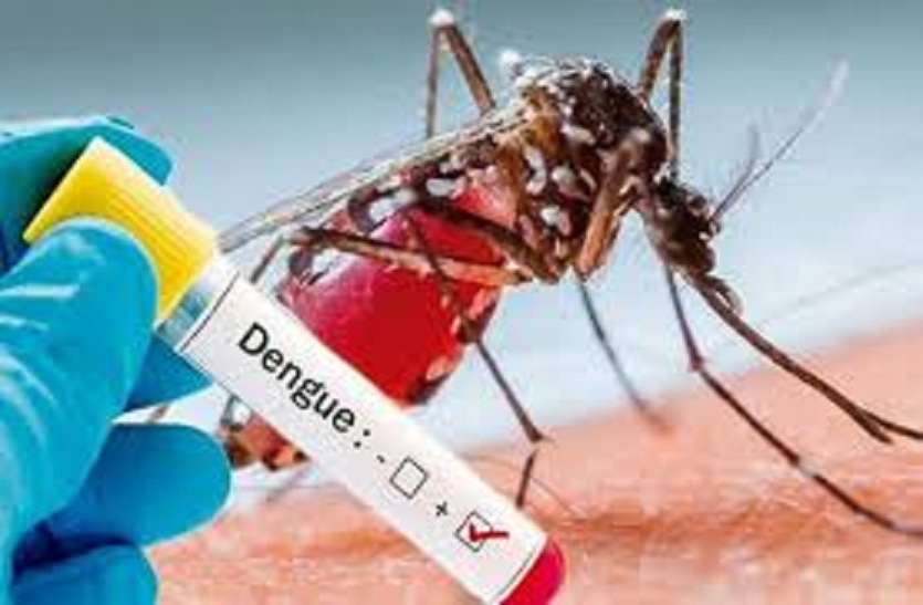 Dengue Fever: Symptoms, Causes, and Treatments in mp