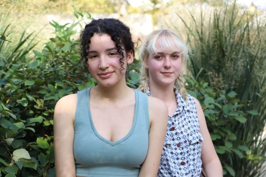 पिट्सबर्ग निवासी 18 वर्षीय लिंड्रा मीरा, सारा हार्ट और मेडलिन रेयानभी अपने देश में जलवायु परिवर्तन के खिलाफ सरकार को प्रभावी कदम उठाने के लिए स्कूली बच्चों के साथ लगातार आंदोलन कर रही हैं