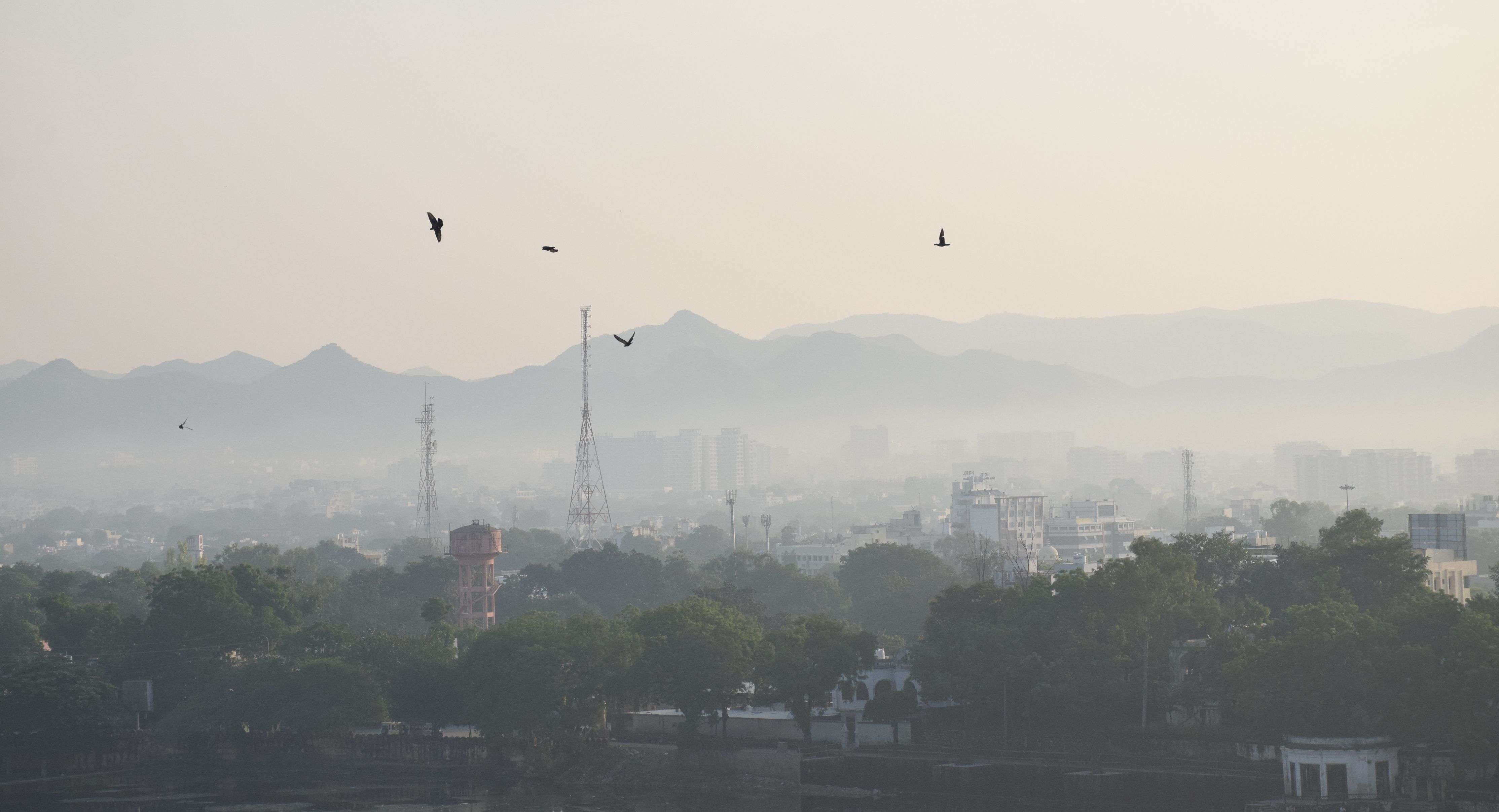 गुलाबी शर्दी का अहसास उदयपुर में मौसम में ठंडक के बाद सुबह छाने लगी धुंध