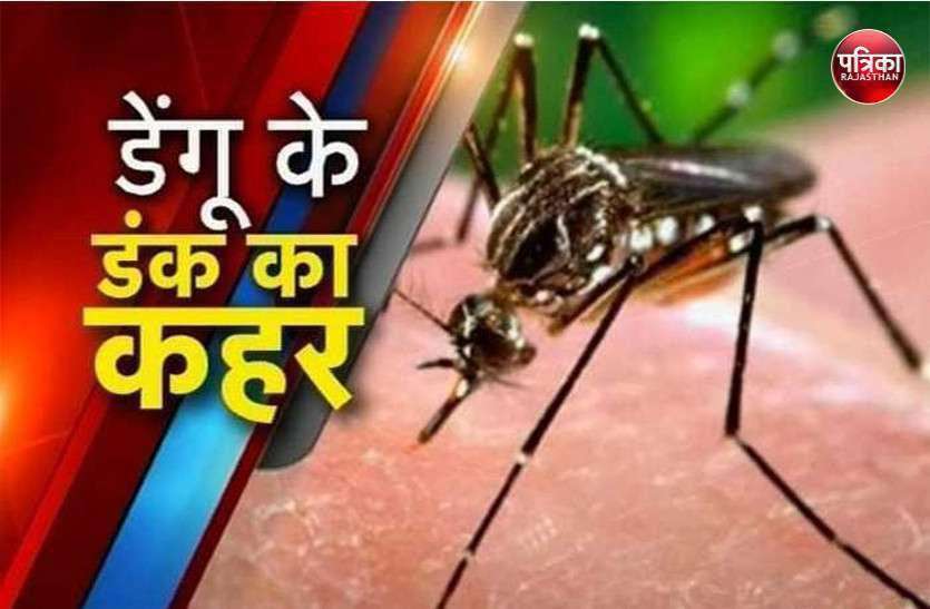 Dengue : जयपुर में डेंगू से महिला की मौत, गांव में घर घर में बुखार के मरीज