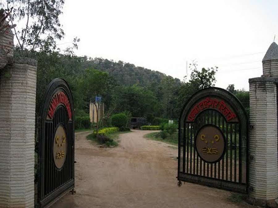 Panna Tiger Reserve gate will open from October 16