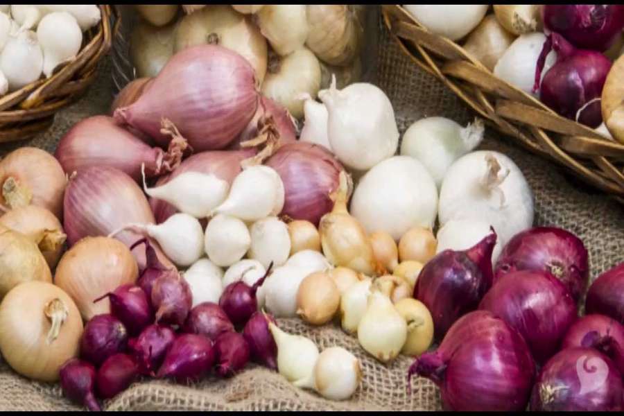 price hike of garlic and onion after rainfall in rajasthan