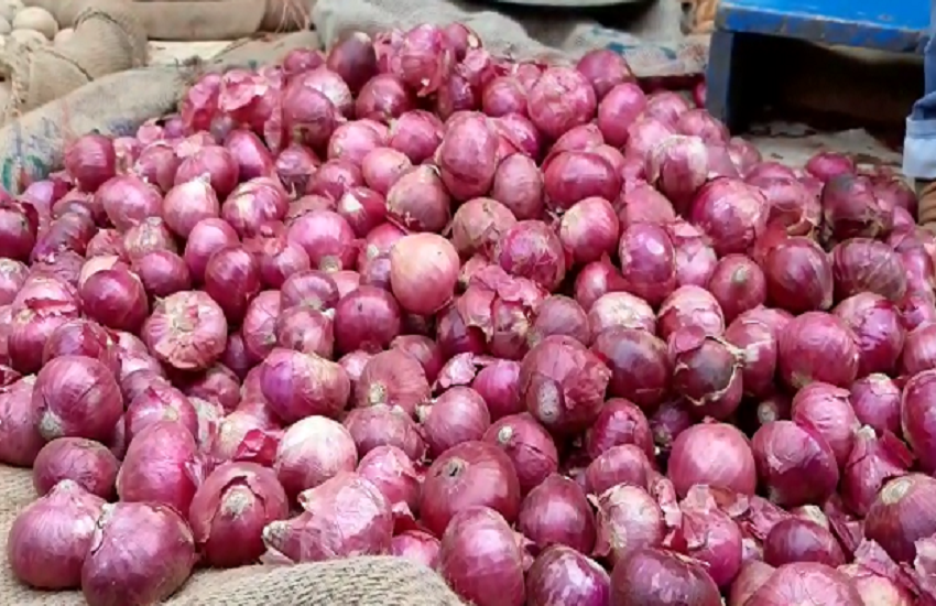 Onion 
