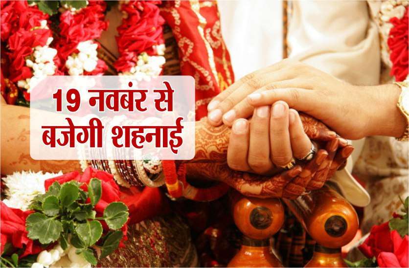 hindu wedding season starts from 19th november