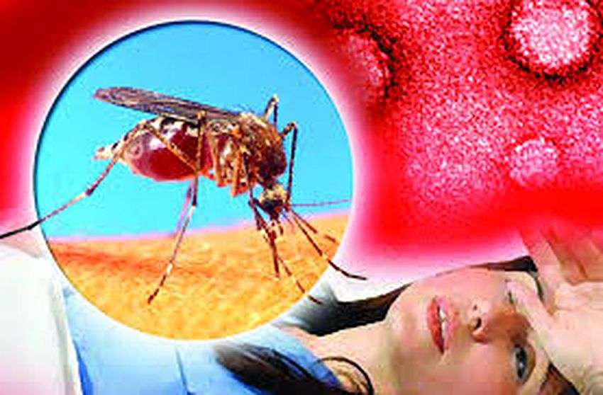 ALERT : असुरक्षित यौन संबंध बनाने से एड्स की तरह डेंगू भी हो सकता है