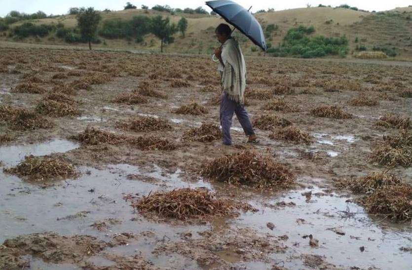 बेमौसम बरसात ने छीना किसानों का निवाला