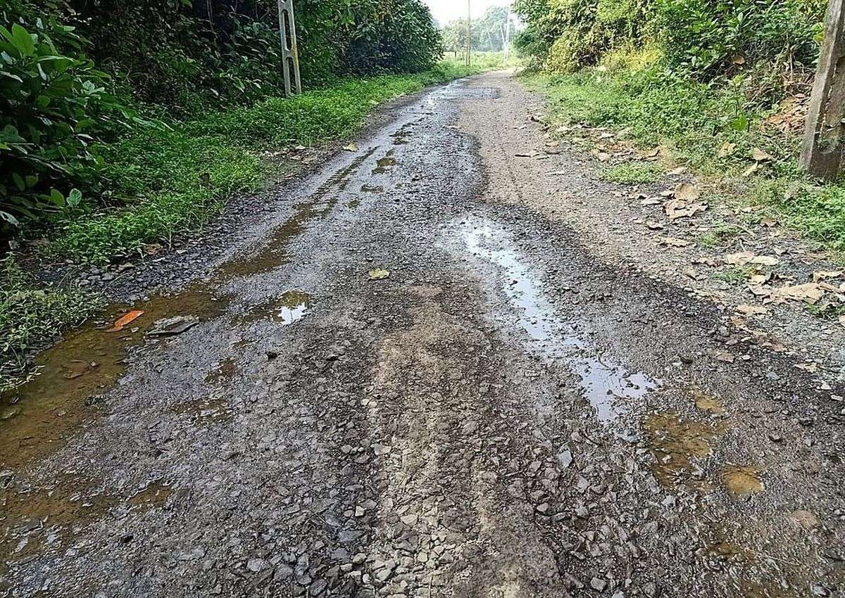 damage road : जानिए क्यों विरोध करने पर विवश हुए ग्रामीण