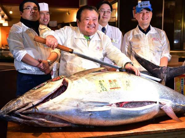tuna-fish-expensive.jpg
