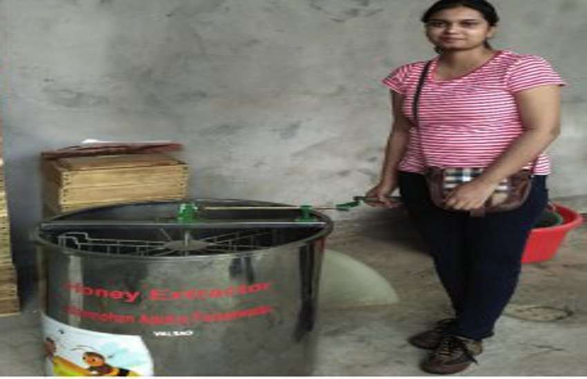 Ahmedabad News जमीन से निकलने वाले गर्म पानी से शहद प्रसंस्करण हुआ आसान