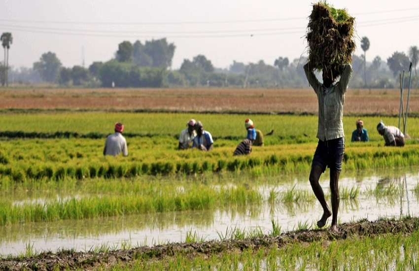 Maharashtra Hindi News Update : महाराष्ट्र में पूर्ण कृषि कर्ज माफी पर क्या बोले मुख्यमंत्री उद्धव ठाकरे