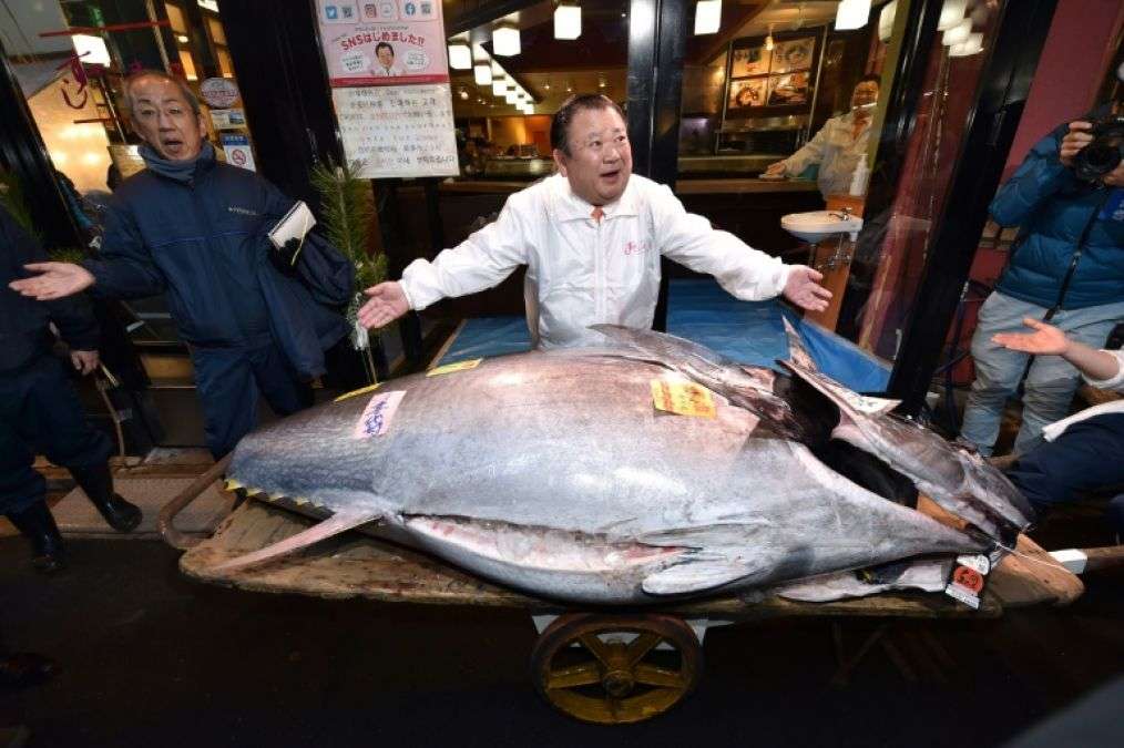japan-tuna-king_5e11e2633d972.jpg
