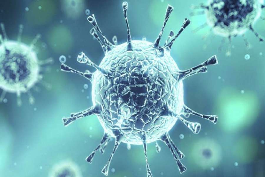 Maha Virus News: करॉना वायरस की मुंबई में दस्तक, अलग वार्ड में रखा गया इसलिए ?