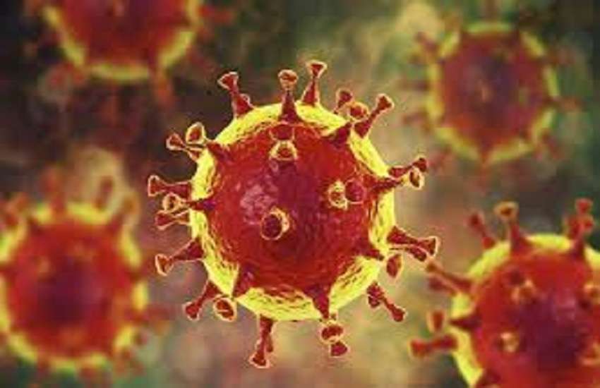 Maharashtra Hinidi News : मुंबई और पुणे के छह मरीजों में वायरस के संक्रमण की आशंका से हिला प्रशासन, बचाव व सतर्कता पर जोर