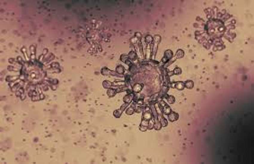 Maha Corona Virus: कोरोना वायरस से इस तरह रुका महत्वाकांक्षी कोस्टल रोड का काम