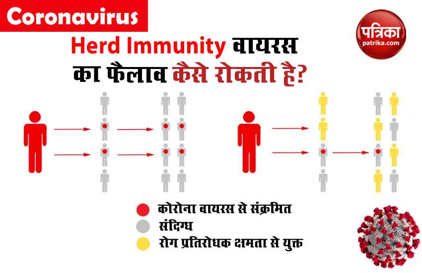 Coronavirus को फैलने से रोकने में Herd Immunity है बहुत कारगर, लेकिन उपाय बेहद डरावना!
