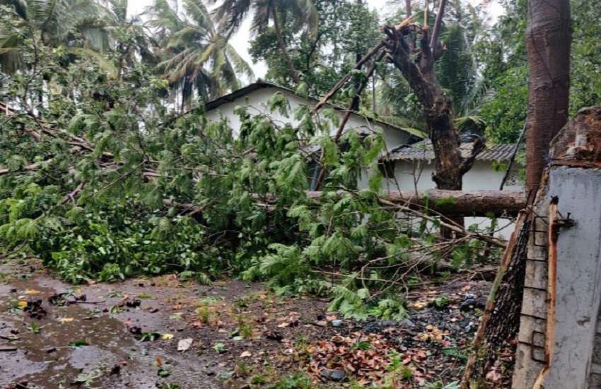 Cyclone Nisarg: trees fell on the roads.