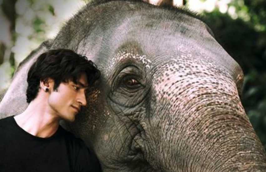 जानवरों से प्रेम करना सिखाती रही हैं ये शानदार फिल्में, इंसान में छिपा हैवान