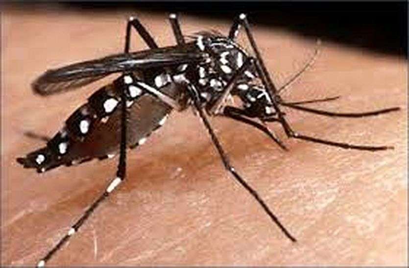 Malaria dengue and chikungunya fear now with corona infection in bhilwara
