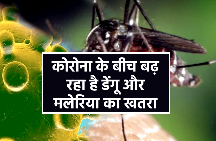 मानसून आते ही बढ़ने लगा डेंगू और मलेरिया का खतरा, इस तरह करें खुद का बचाव