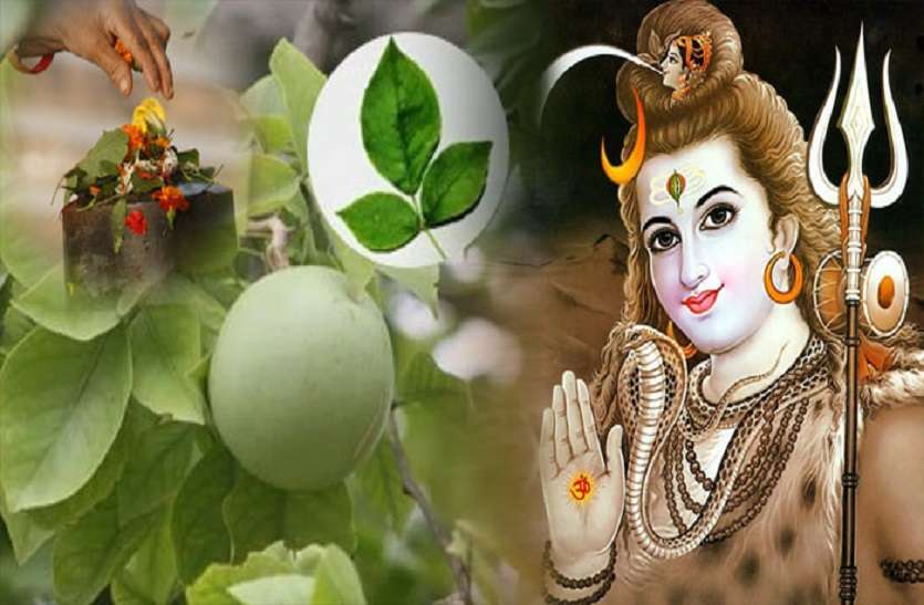 importance of lord shiv in sawan