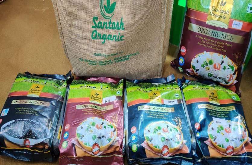 दुर्ग जिले के किसान का कमाल, जैविक खेती से पहली बार उगाया 100% रसायन मुक्त चावल, हैदराबाद की लैब ने किया प्रमाणित