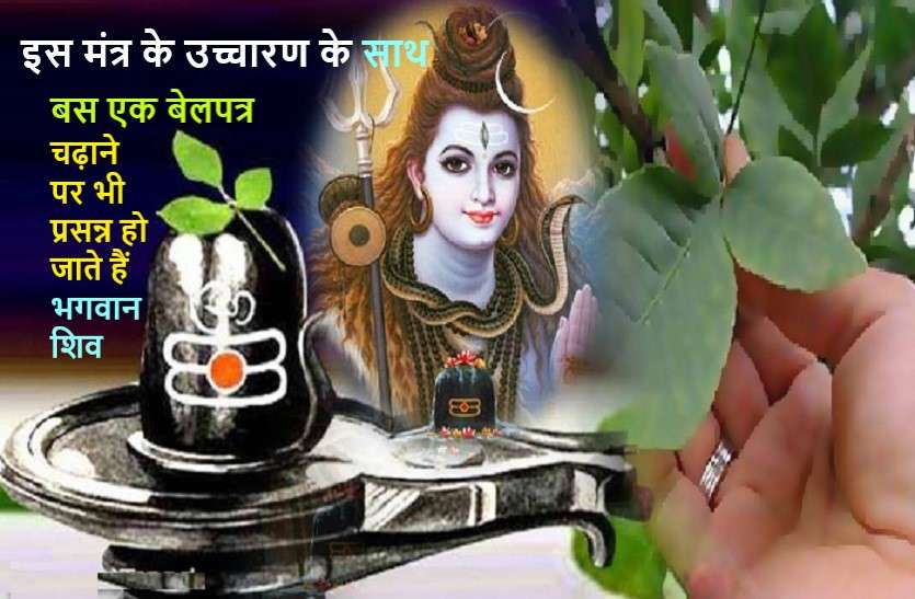 https://www.patrika.com/religion-news/belpatra-importance-on-lord-shiv-in-sawan-6258275/