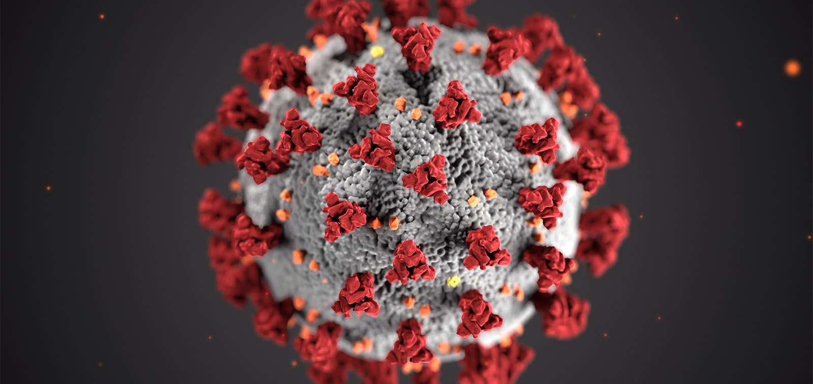 कोरोना वायरस का बदलता आकार, एंटीबॉडी को वायरस के खात्मे में कर सकती है मदद